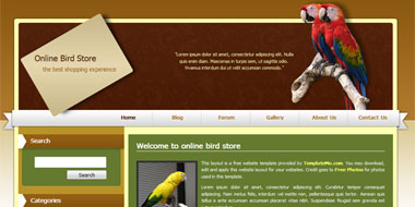 Bird Store